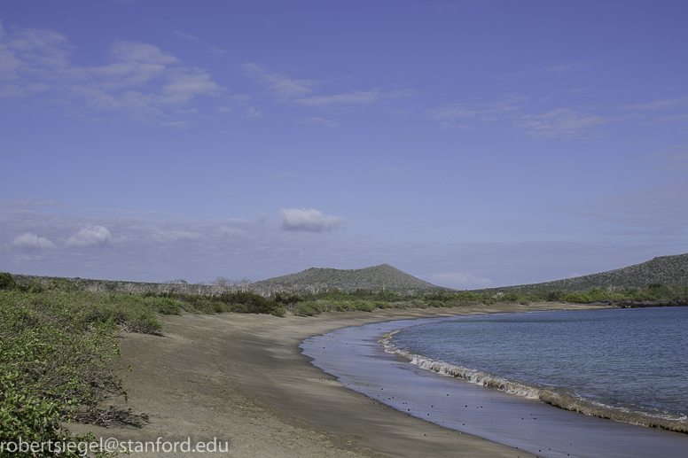 galapagos